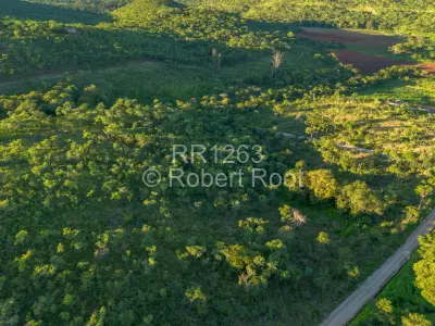 Farm/Plot For Sale in Glen Forest