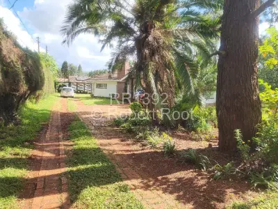 House For Rent in Vainona