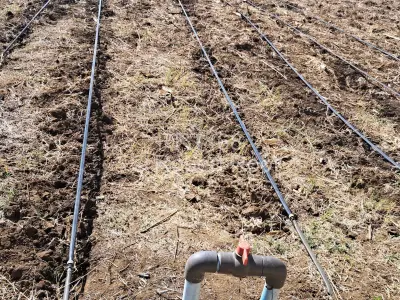 Farm/Plot For Sale in Galloway