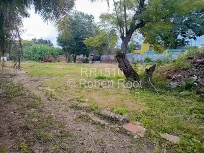 Commercial Stand For Sale in Avondale