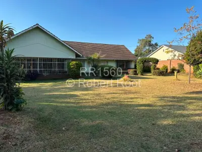 House For Sale in Alexandra Park