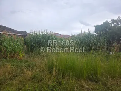 Farm/Plot For Sale in Damofalls