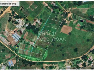Farm/Plot For Rent in Ruwa
