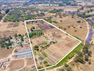 Farm/Plot For Rent in Ruwa