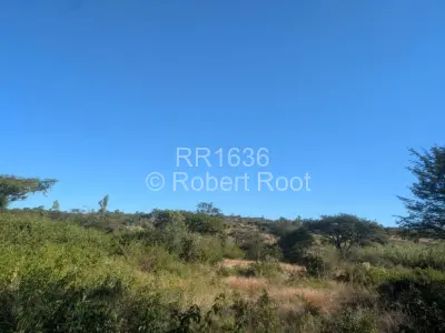 Farm/Plot For Sale in Worringham