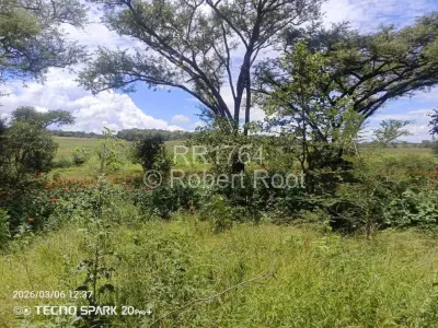 Residential Stand For Sale in Borrowdale