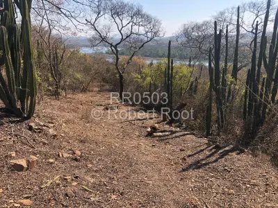 Residential Stand For Sale in Masvingo