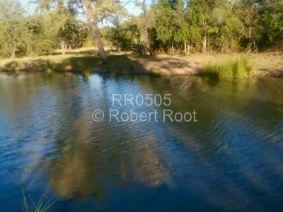 Farm for Sale in Kwekwe