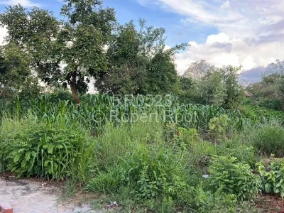 Stand for Sale in Crowhill Views