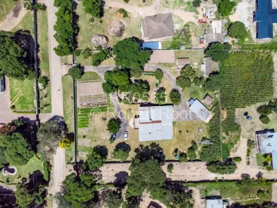 Stand for Sale in Greendale