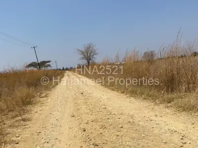 Land for Sale in Lynfield
