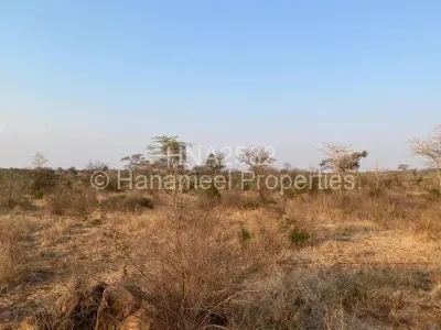 Farm for Sale in Selous