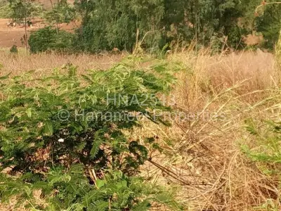 Residential Stand For Sale in Glen Lorne