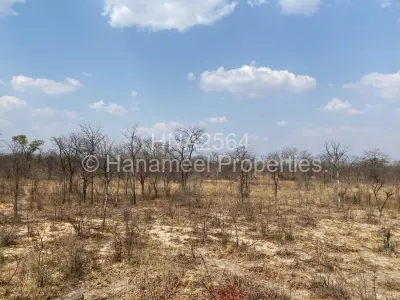 Farm/Plot For Sale in Ngezi