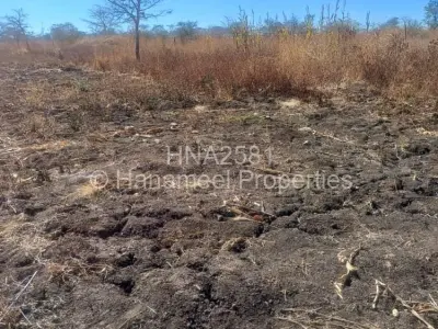 Farm/Plot For Sale in Selous
