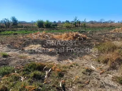 Farm/Plot For Sale in Selous