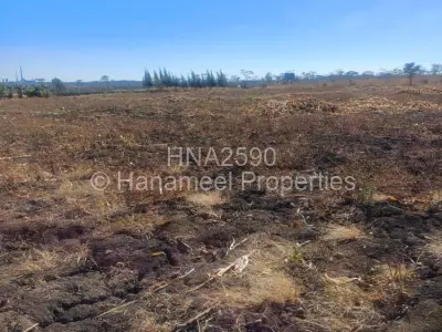 Farm/Plot For Sale in Selous