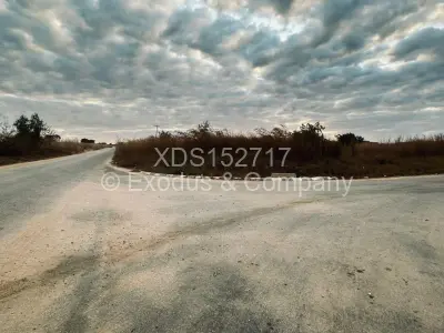 Land for Sale in Chinhoyi