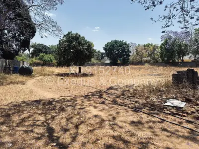 Stand for Sale in Borrowdale