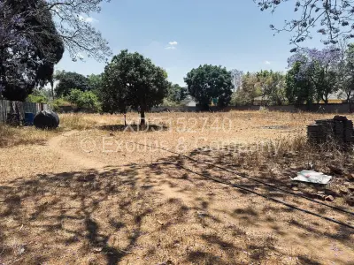 Stand for Sale in Borrowdale