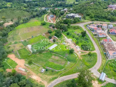 Commercial Stand For Sale in Carrick Creagh Estate