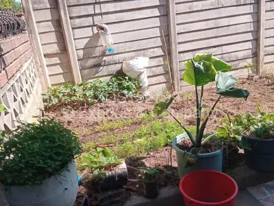 House For Sale in Zengeza