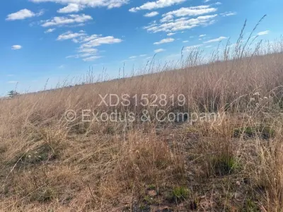 Residential Stand For Sale in Norton