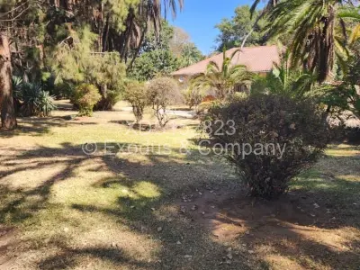 Commercial Stand For Sale in Waterfalls