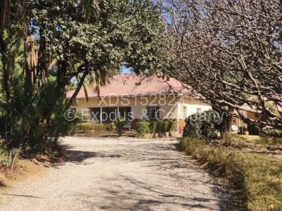 Commercial Stand For Sale in Waterfalls
