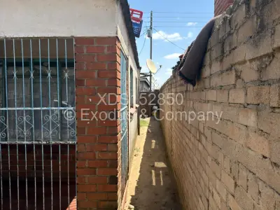 House For Rent in Warren Park