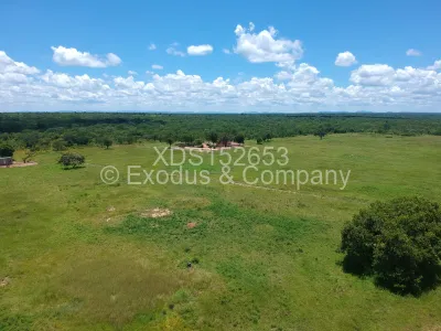 Land for Sale in Kwekwe