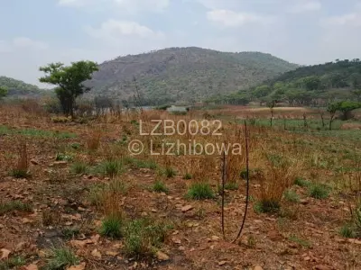 Farm/Plot For Sale in Arcturus