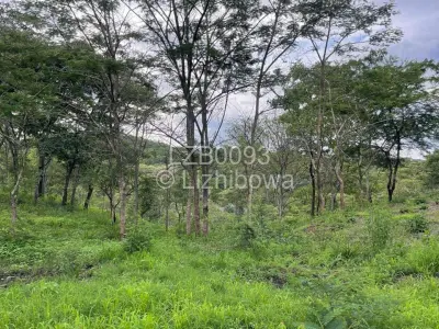 Residential Stand For Sale in Shawasha Hills