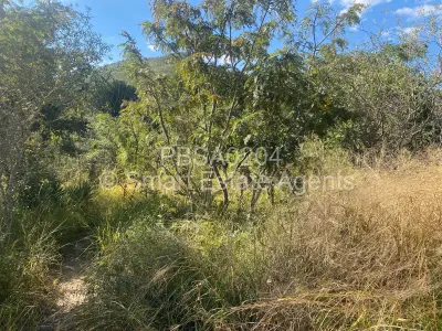 Farm/Plot For Sale in Fern Valley