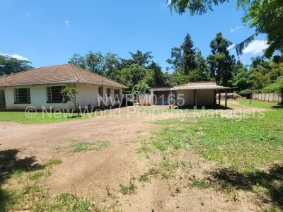 House to Rent in Marlborough