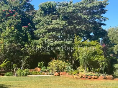 Stand for Sale in Borrowdale