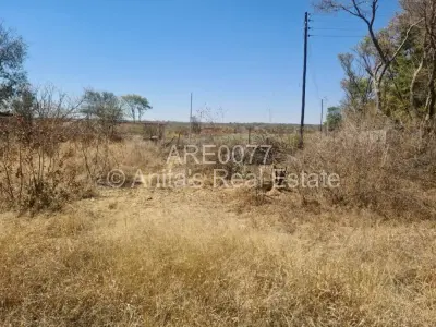 Stand for Sale in Willsgrove