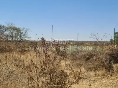 Stand for Sale in Willsgrove