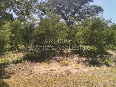 Stand for Sale in Hwange