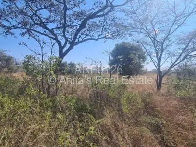 Residential Stand For Sale in Burnside