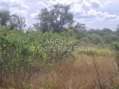 Residential Stand For Sale in Burnside