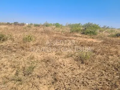 Residential Stand For Sale in Kensington Byo