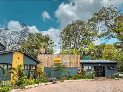 Commercial Property to Rent in Chisipite