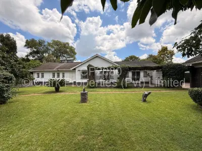 House For Rent in Alexandra Park