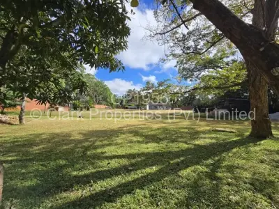 Office For Sale in Borrowdale