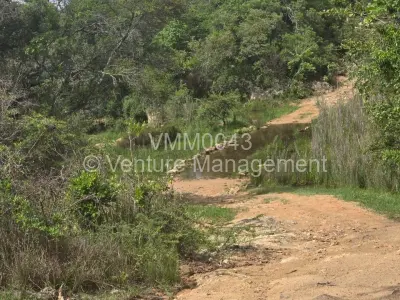 Land for Sale in Nyanga