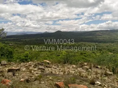 Land for Sale in Nyanga