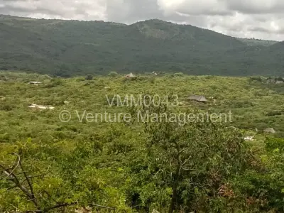 Land for Sale in Nyanga