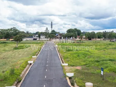 Commercial Stand For Sale in Borrowdale
