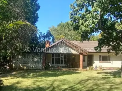 House For Rent in Alexandra Park